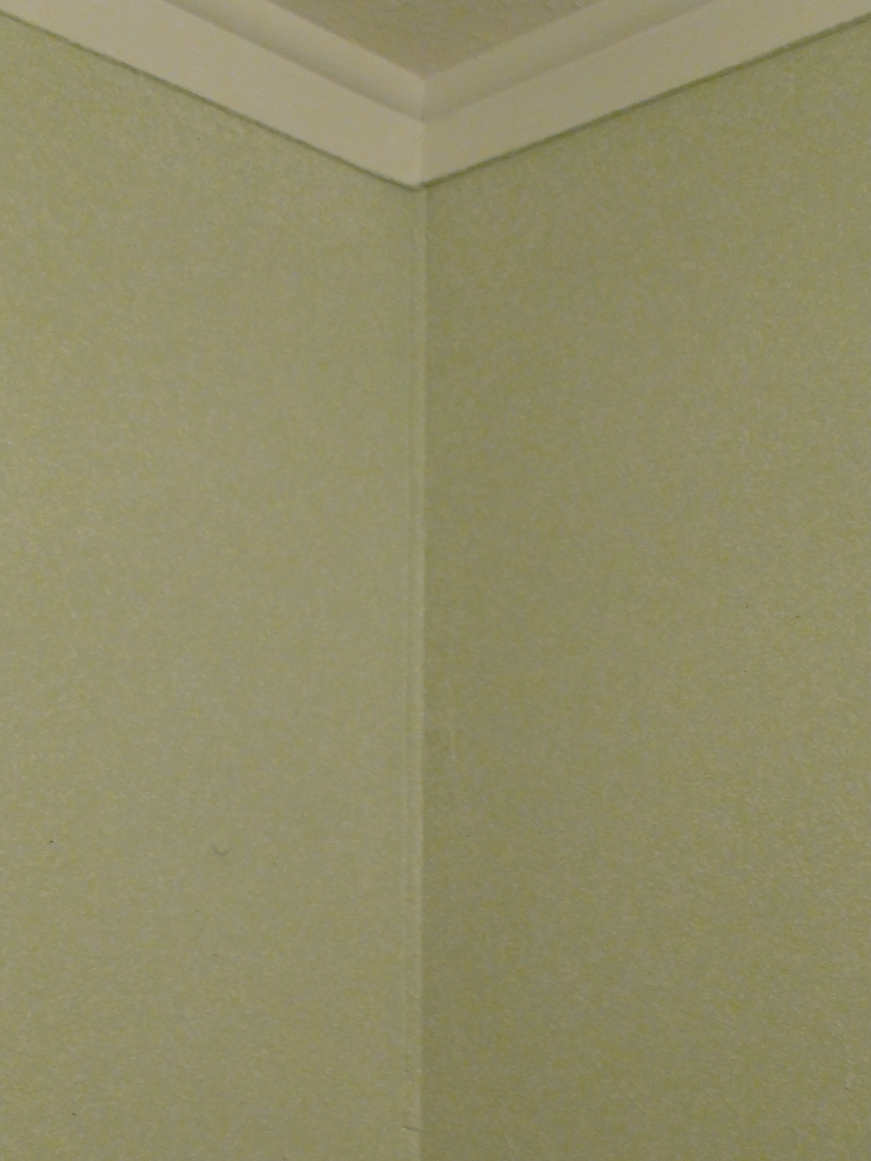 DSC01266.JPG