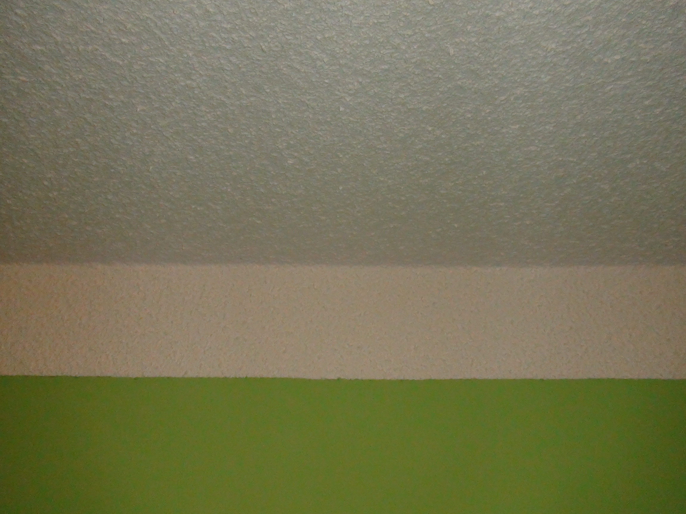 DSC00492.JPG