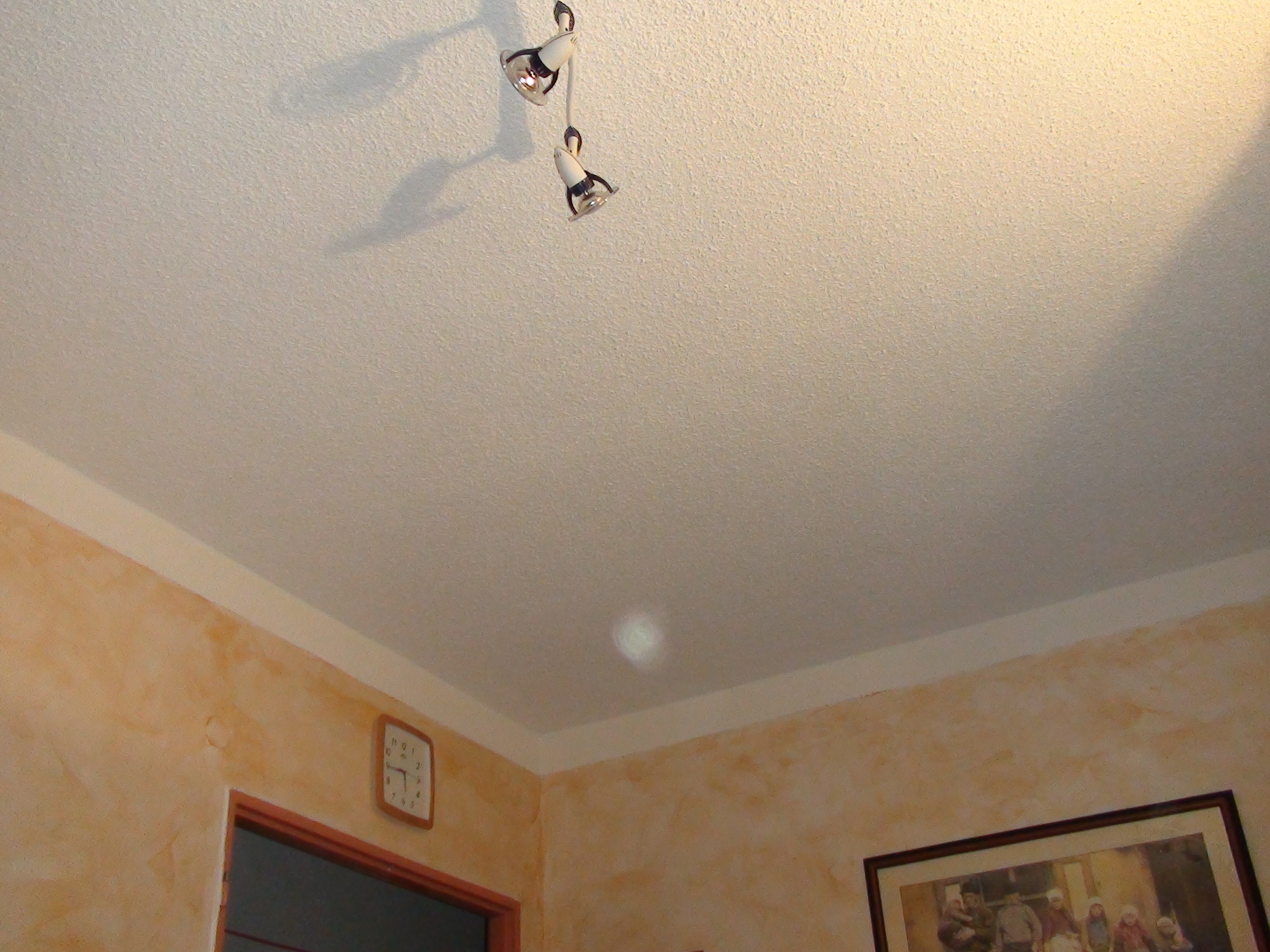 DSC00500.JPG