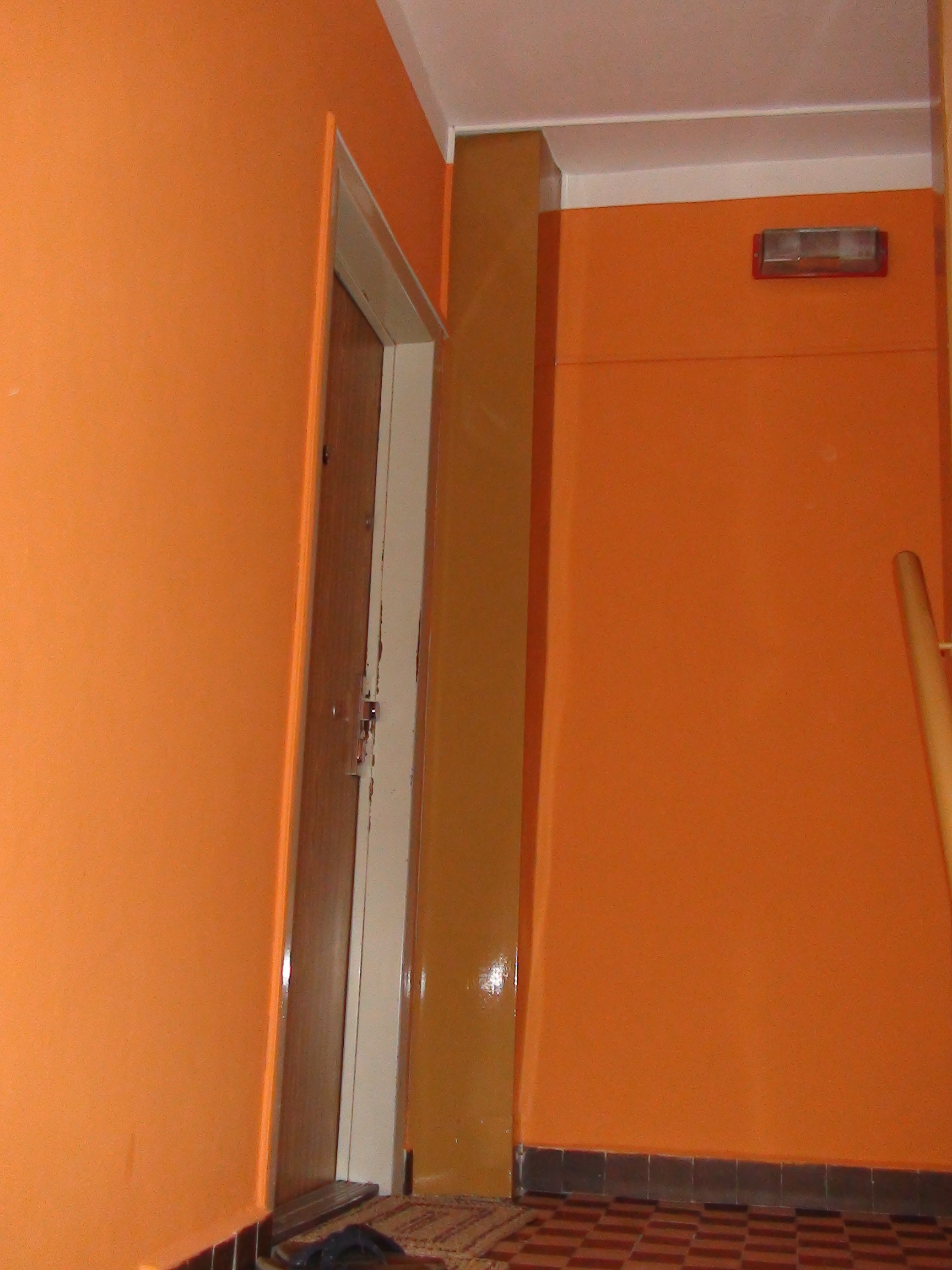 DSC01648.JPG